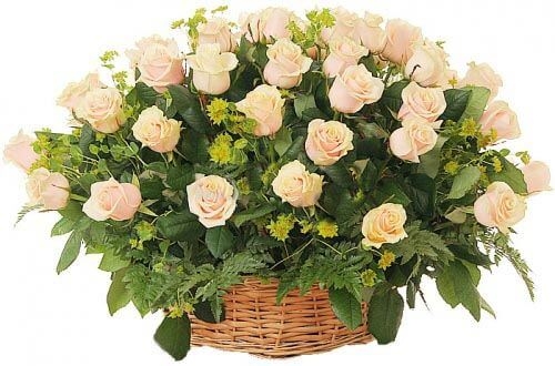 Корзина из 35 роз "Свежесть"